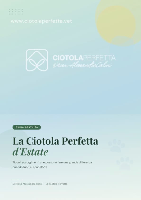 Copertina della guida gratuita Estate della Ciotola Perfetta
