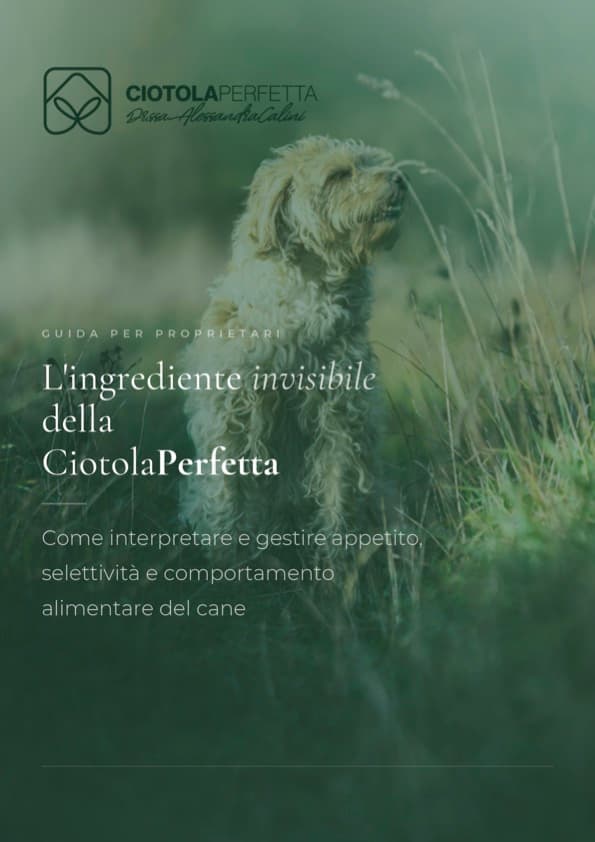 Copertina della guida L'ingrediente invisibile della Ciotola Perfetta